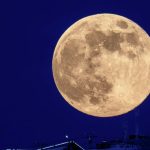 image-69ddb4a602e8bd6e402ab352