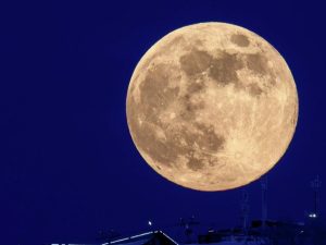 image-69ddb4a602e8bd6e402ab352