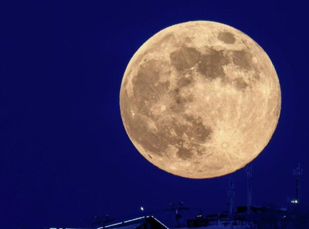 image-69ddb4a602e8bd6e402ab352