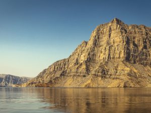 image-69df6dd902e8bd43dc72e022