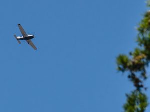 image-69efee50ae5ac9632d49c66c