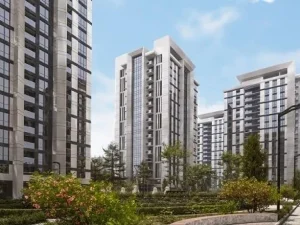 image-image_940x_67d0699c8e5db