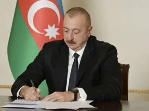 image-image_940x_69ccddefd8bec