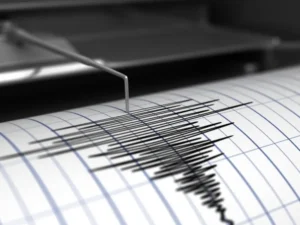 image-image_940x_69cdfa597a177