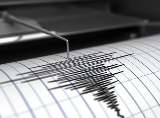 image-image_940x_69cdfa597a177