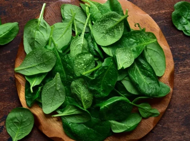 image-image_940x_69d1f25568818