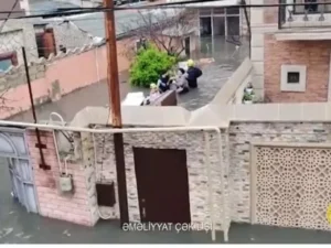 image-image_940x_69d21348d818c