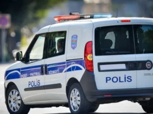 image-image_940x_69d21ce003102