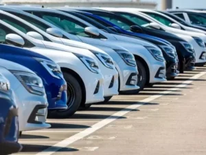 image-image_940x_69e467848d0c3