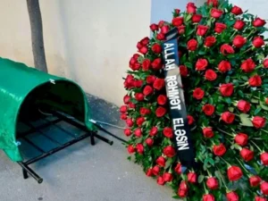 image-image_940x_69e766946b044