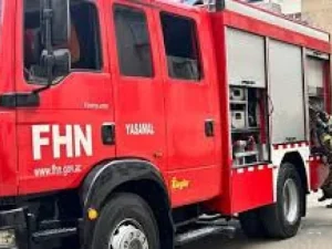 image-image_940x_69ec5e872e7d1