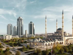 image-image_940x_69ede12170c20