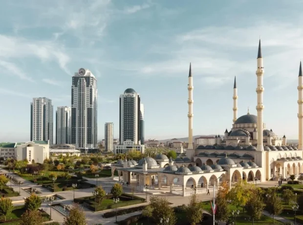 image-image_940x_69ede12170c20