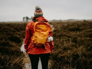 image-image_940x_69ee3b90d8cd1