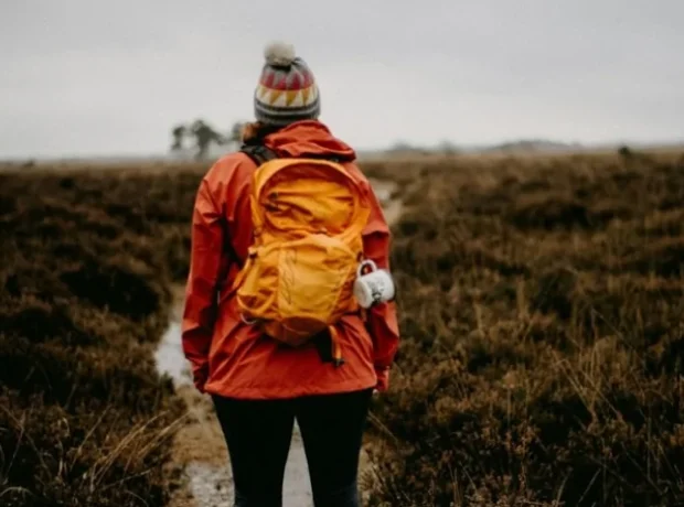 image-image_940x_69ee3b90d8cd1