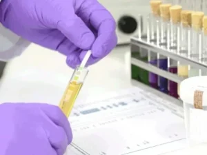 image-image_940x_69eefde8082e6