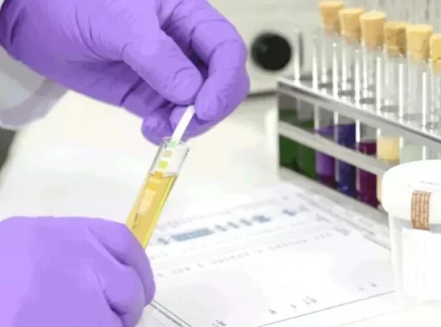 image-image_940x_69eefde8082e6