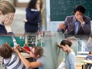 image-image_940x_69f09d0eb8b0f-1