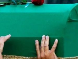 image-nocomment_0aa445e0362467a6e2c626073a2409ec_3ez0cqpu8b4vr5siyxl7-640x336