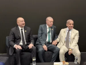 image-quafclfo1lnynzgsje7l8nh6k7xcgdpkjeuvas3z_640