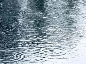 image-sug7nnmfefqu80tyitob03fijprpo7ozor7xq5em_450