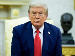 image-tramp_4_1767342966