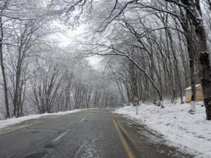 image-1777913627_qarli-yol1