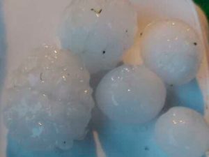 image-1779641296282-2d93fde0189d-yard-ml-da-d-h-t-ya-and-g-yd-n-buz-ya-d