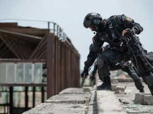 image-polis_at_1779867127