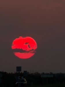image-img_20260713_212200_370