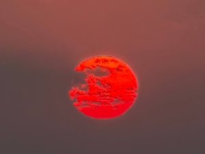 image-img_20260713_212207_974