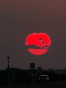 image-img_20260713_212240_579