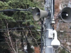 image-owl_detail_620_8f224db4ceb0b299b4533427879a5c24_1783672461